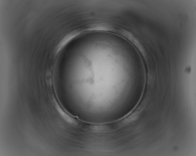 X0000093381433200710111446