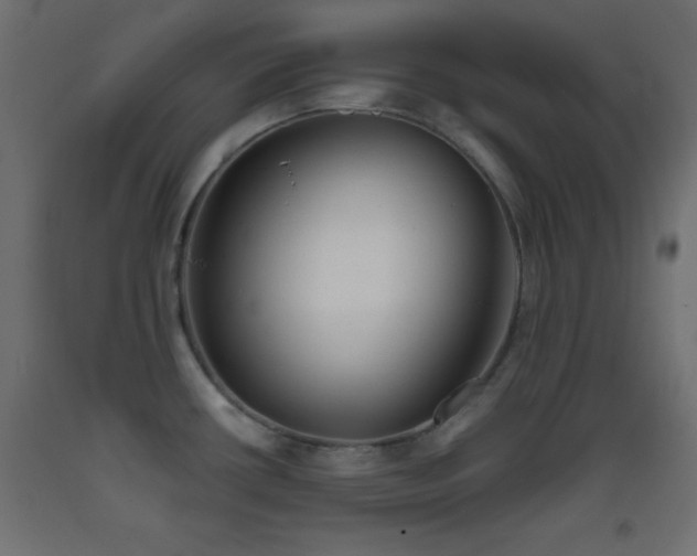 X0000093381434200710111446