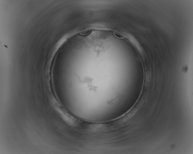 X0000093381435200710111446