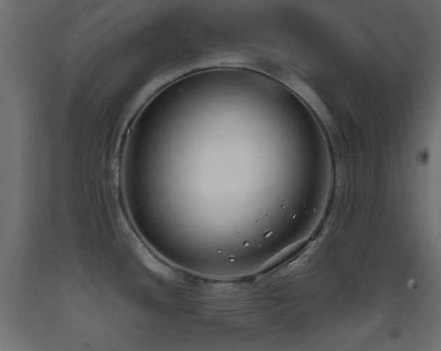 X0000093381436200710111446