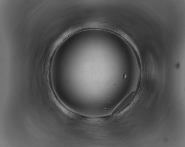 X0000093381437200710111446