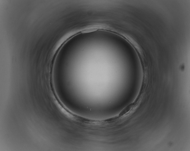 X0000093381438200710111446