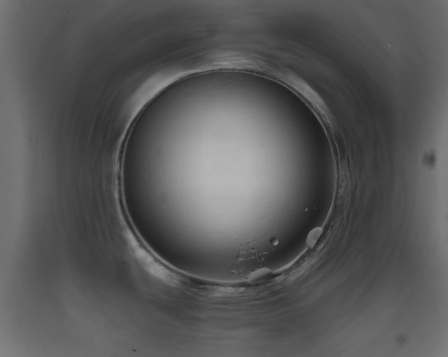 X0000093381439200710111446