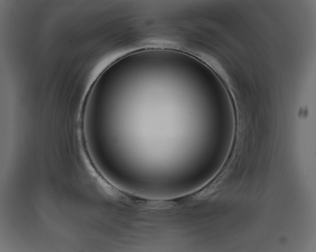 X0000093381440200710111446