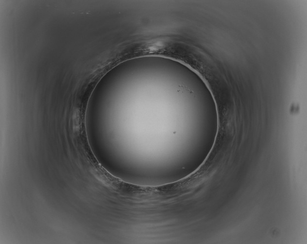 X0000093381442200710111445