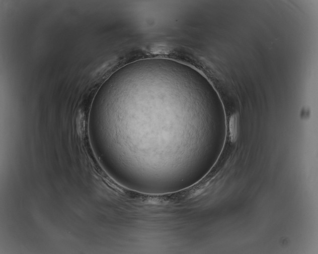 X0000093381443200710111445