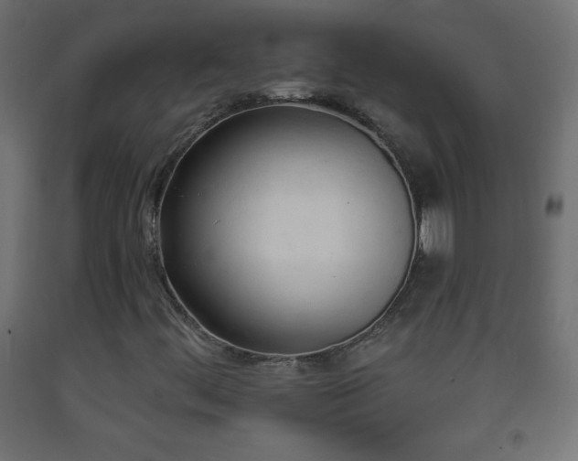 X0000093381444200710111445