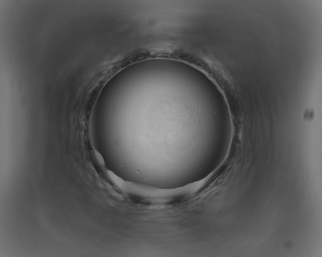 X0000093381445200710111445