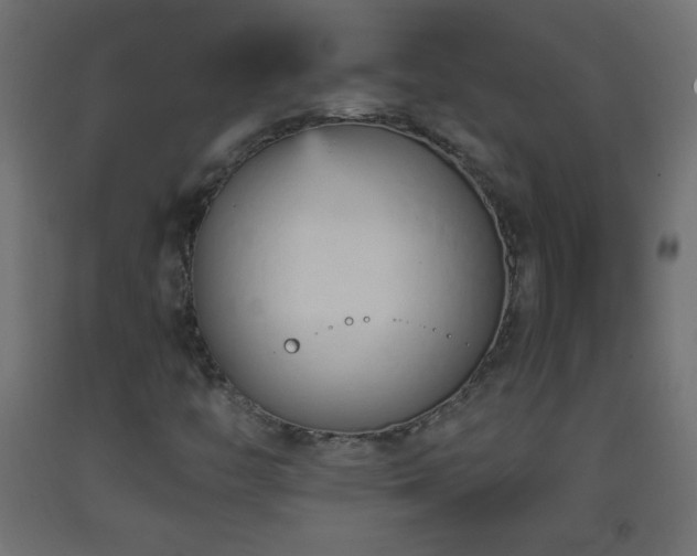 X0000093381446200710111445