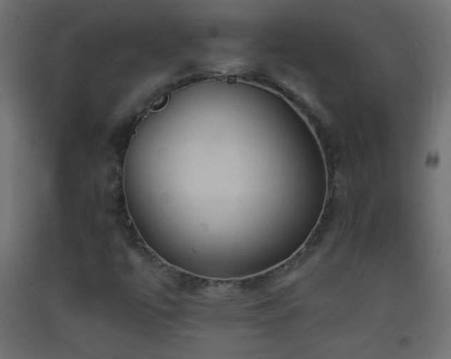 X0000093381447200710111445