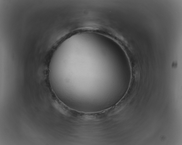 X0000093381448200710111445