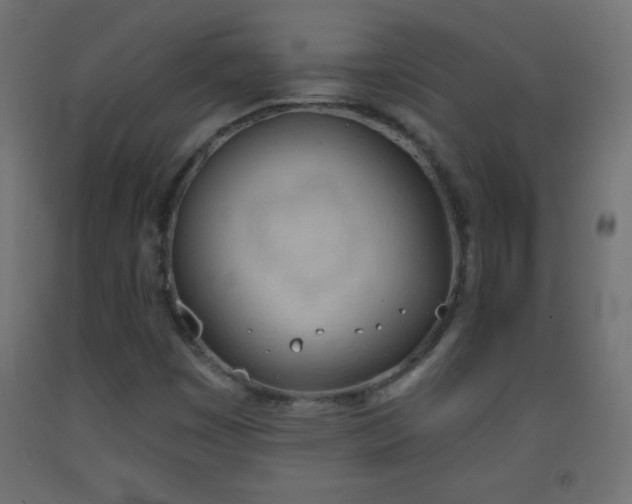 X0000093381449200710111445