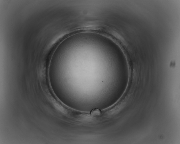 X0000093381450200710111445