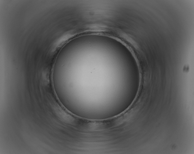 X0000093381451200710111445
