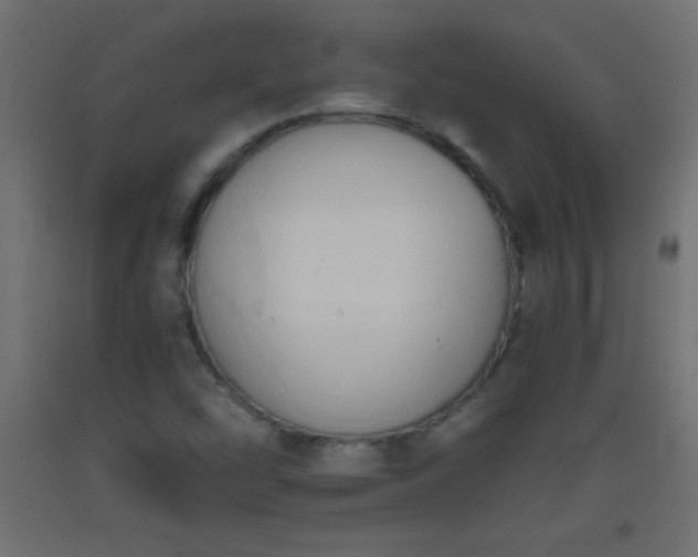 X0000093381454200710111445
