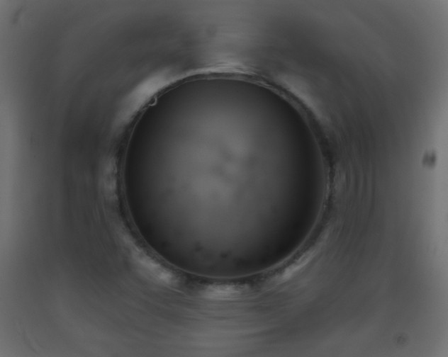 X0000093381455200710111445