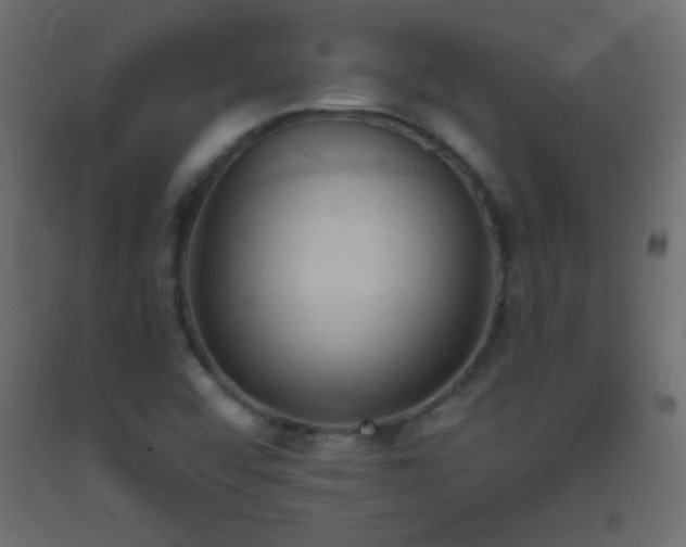 X0000093381456200710111445