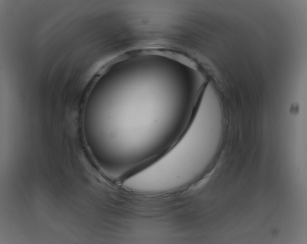 X0000093381457200710111445