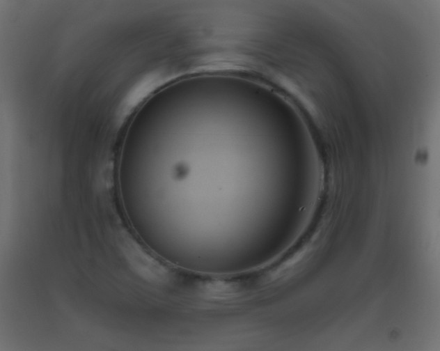 X0000093381459200710111445