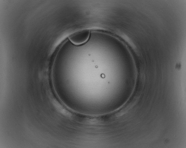 X0000093381460200710111445
