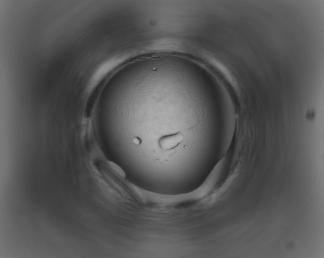 X0000093381461200710111445