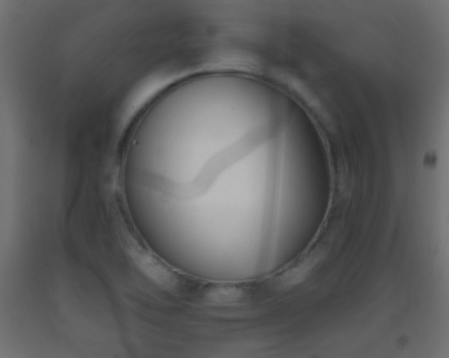 X0000093381462200710111445