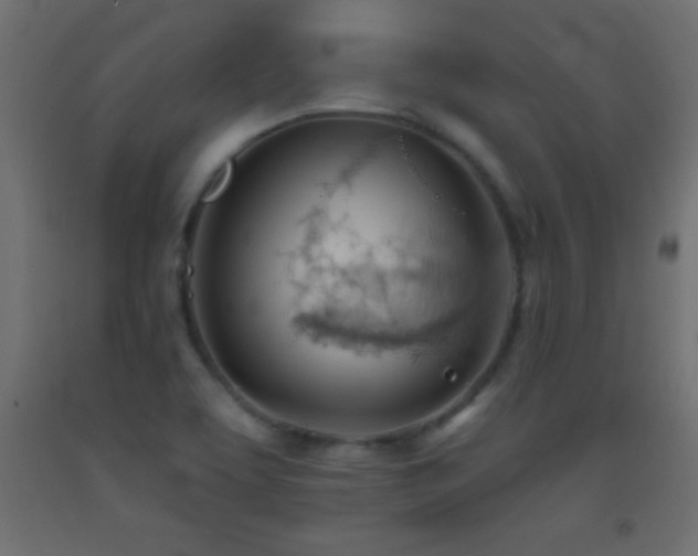 X0000093381463200710111445