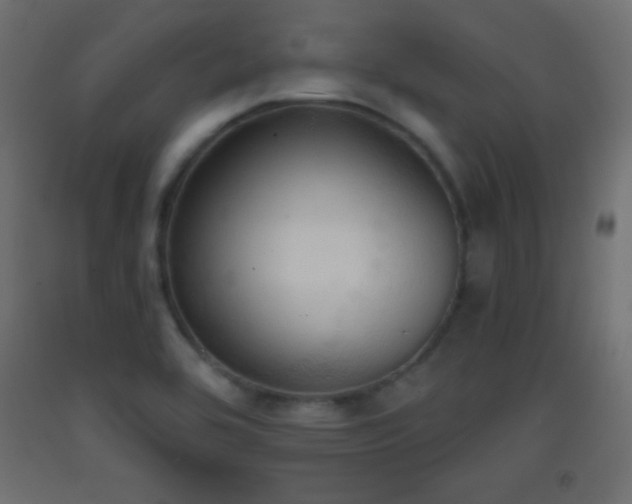 X0000093381464200710111445