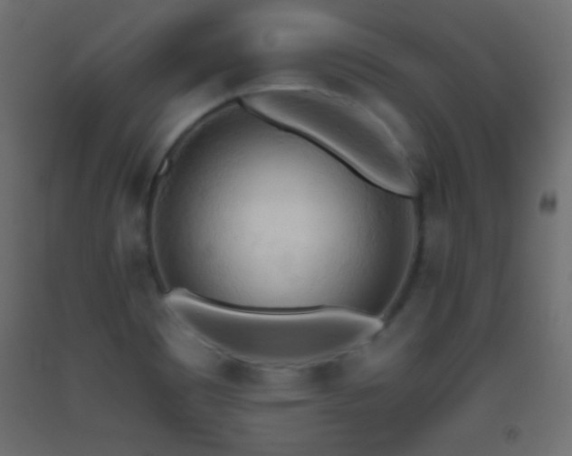 X0000093381465200710111445