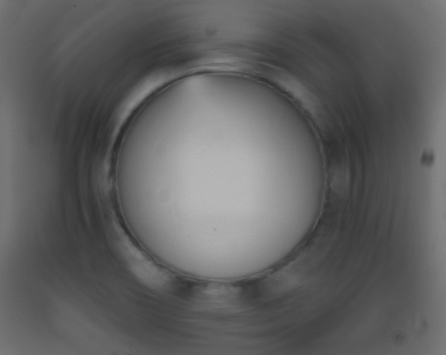 X0000093381466200710111445