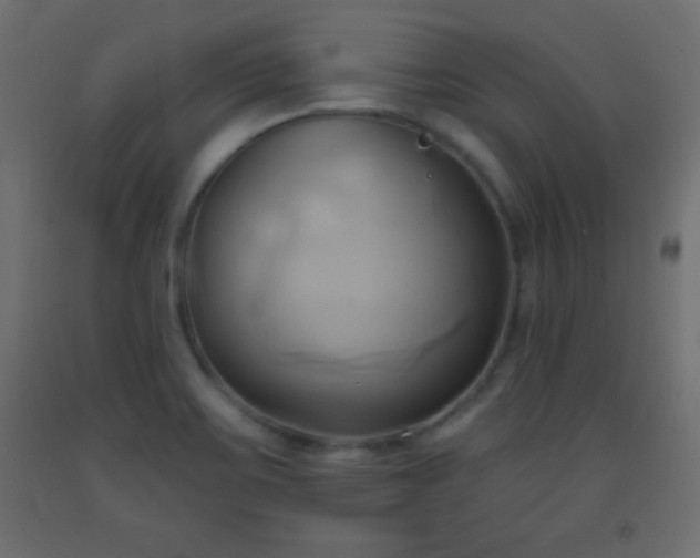X0000093381467200710111445