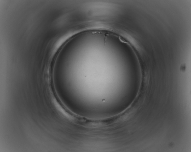 X0000093381468200710111445