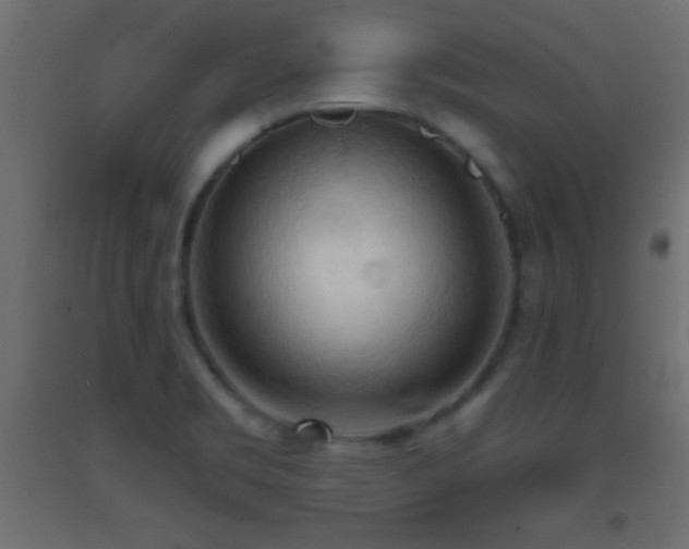 X0000093381469200710111445