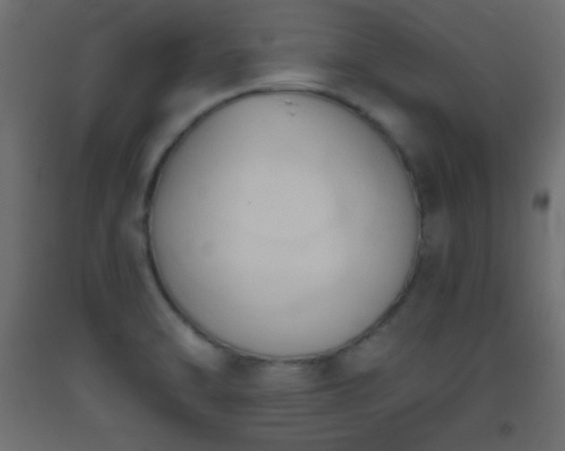 X0000093381470200710111445