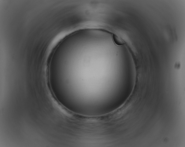 X0000093381472200710111445