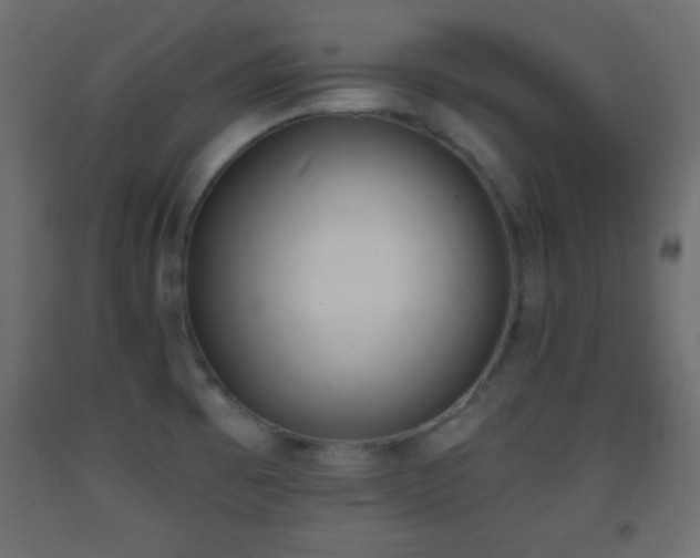 X0000093381473200710111445