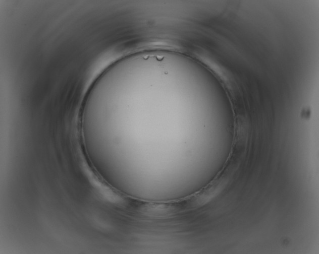 X0000093381474200710111445