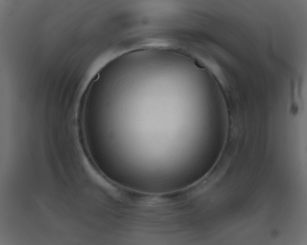 X0000093381475200710111445