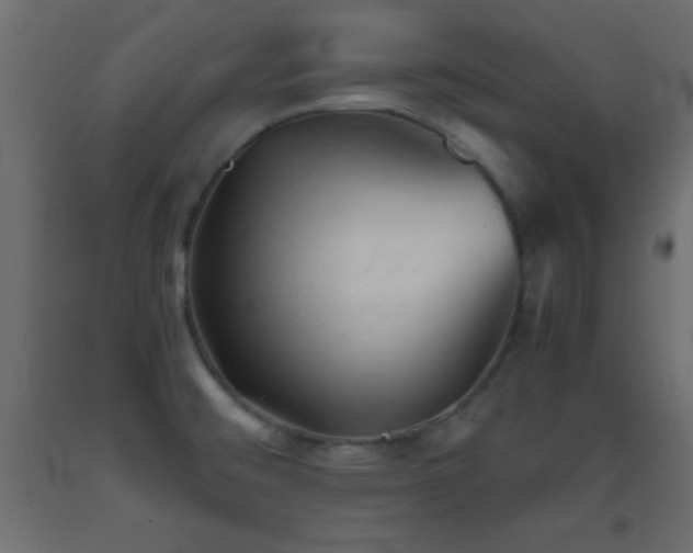 X0000093381476200710111445