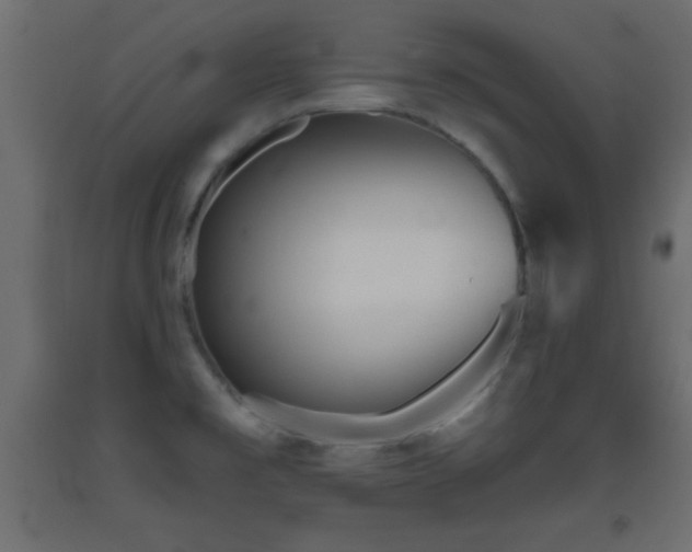 X0000093381477200710111444