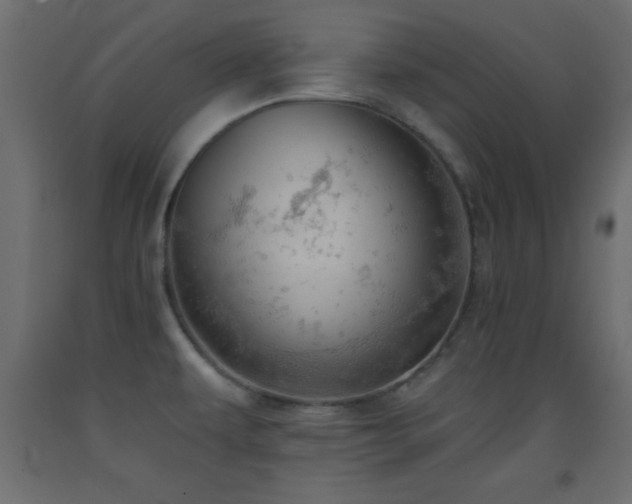 X0000093381479200710111444