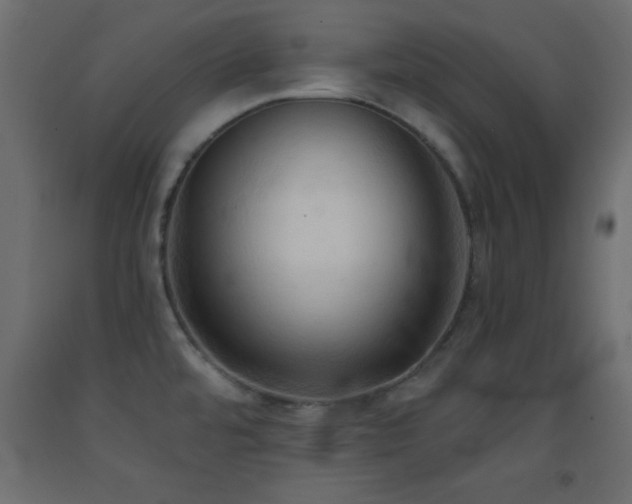 X0000093381480200710111444