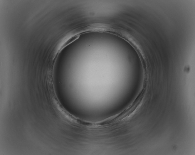 X0000093381481200710111444