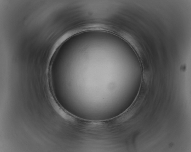 X0000093381482200710111444