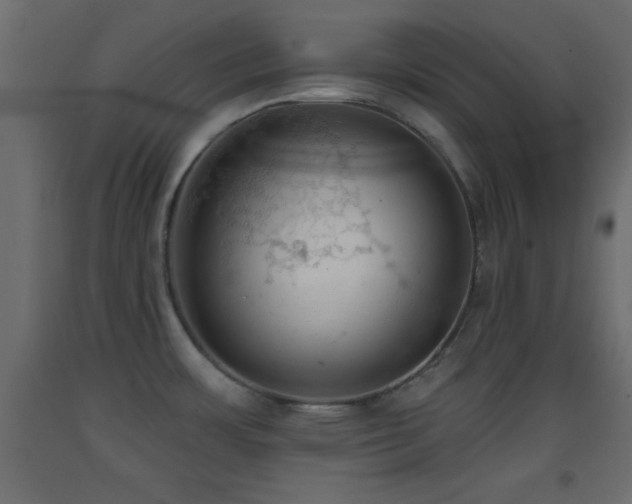 X0000093381483200710111444