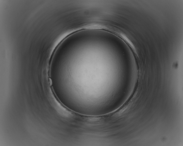 X0000093381484200710111444
