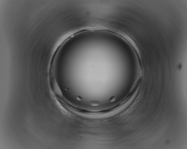 X0000093381485200710111444