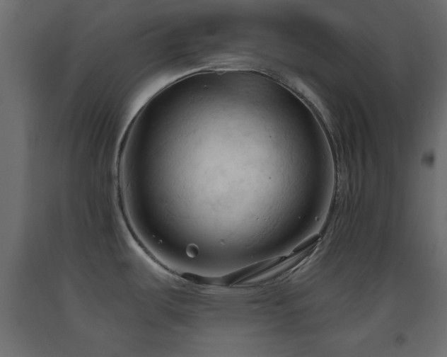 X0000093381487200710111444