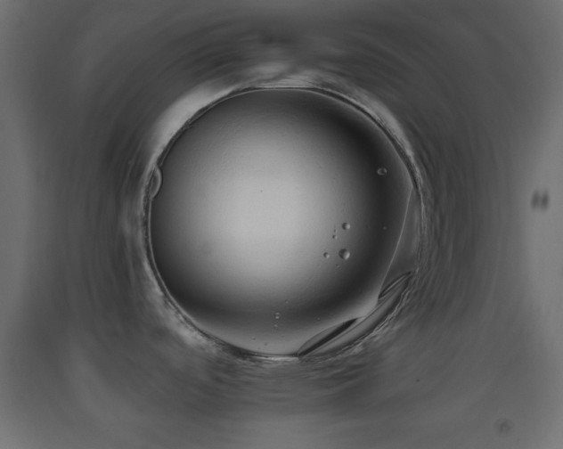 X0000093381488200710111444