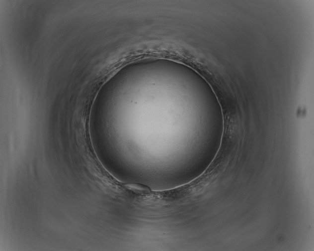X0000093381489200710111444